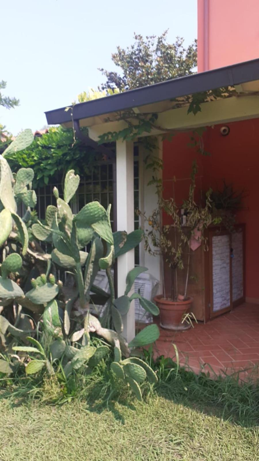 La Casa Delle Buone Letture Villa Lucca Eksteriør billede